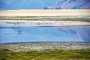 Kargyam’s shimmering wetlands