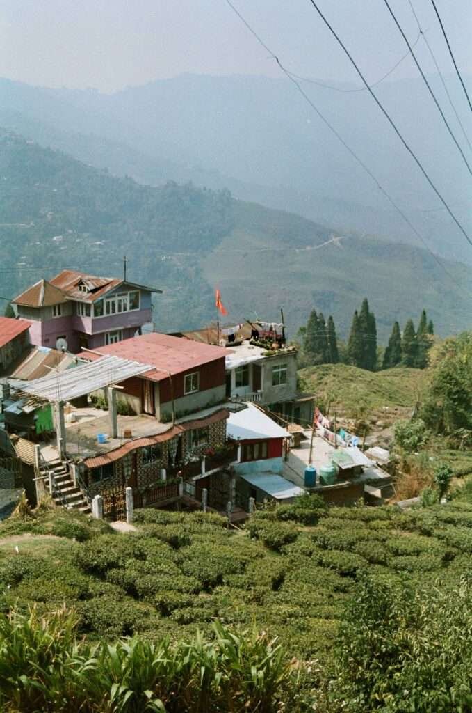 mousurie deshraahi