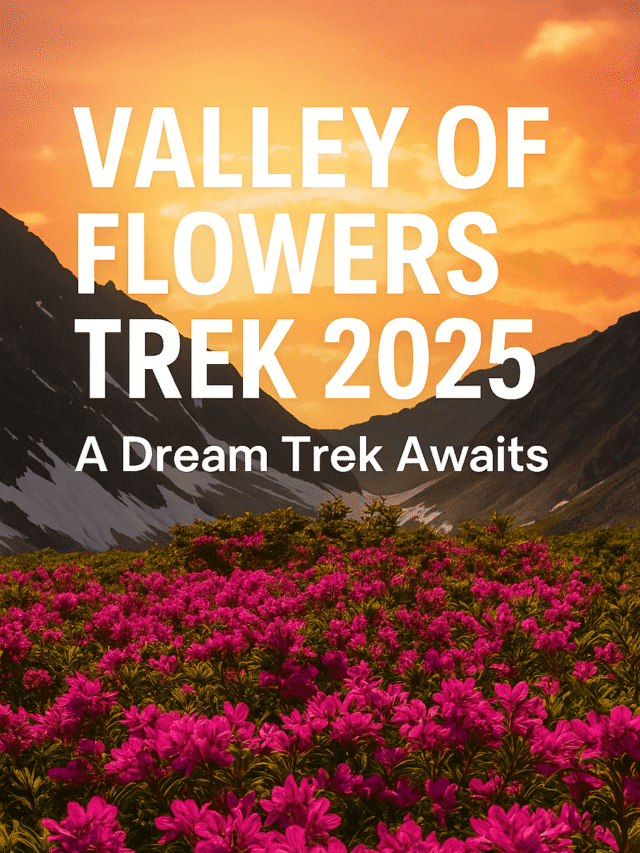 Valley of Flowers Trek 2025