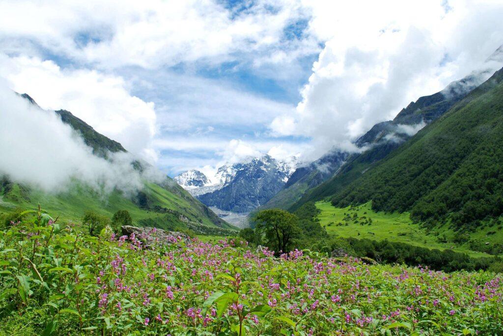 valley of flowers