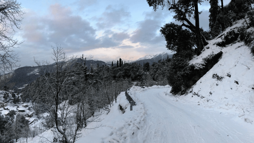 Chandrashila Trek Guide