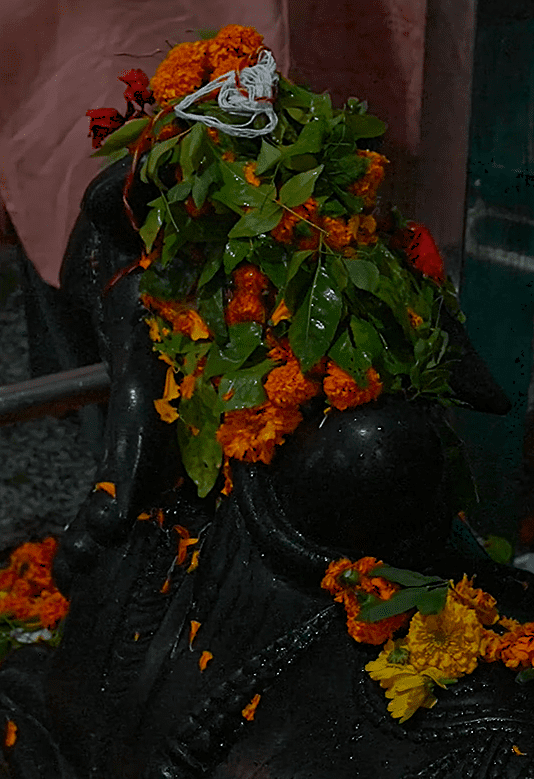Neelkanth Mahadev Temple