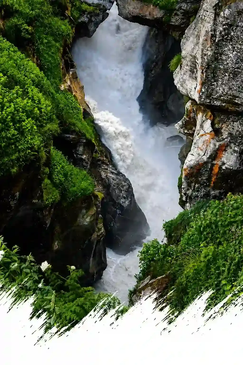 Kedarnath Yatra path and pilgrims