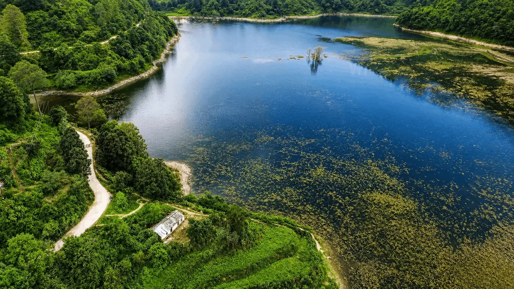 Tadak Tal Uttarakhand: Hidden Gem Lake Travel Guide